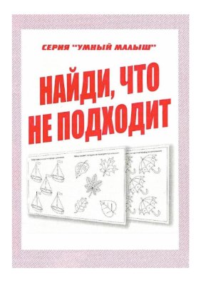 Бурдина С.В. Найди, что не подходит