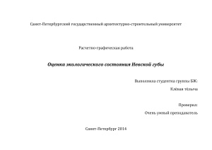Оценка экологического состояния Невской губы
