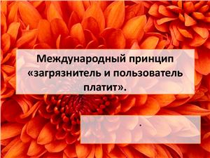 Международный принцип загрязнитель и пользователь платят