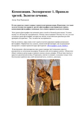 Черепашук П. Композиция в фотографии