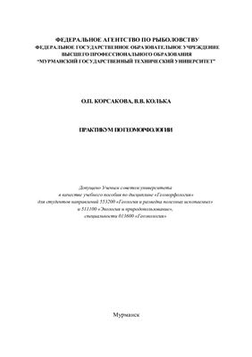Корсакова О.П., Колька В.В. Практикум по геоморфологии