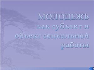 Молодежь как субъект и объект социальной работы