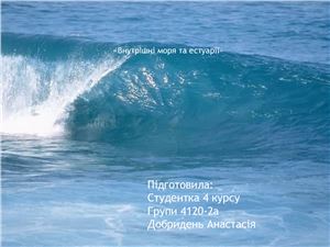 Внутрішні моря та естуарії
