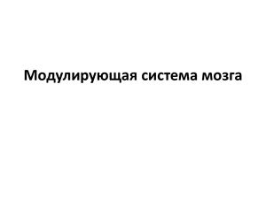 Модулирующая система мозга