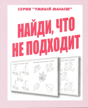 Бурдина С.В. Найди, что не подходит