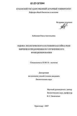 Кобецкая О.А. Оценка экологического состояния бассейна реки Кирпили и предложения но улучшению его функционирования