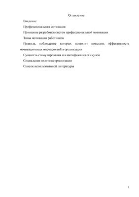 Профессиональная мотивация