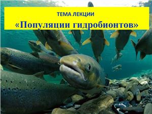 Популяции гидробионтов