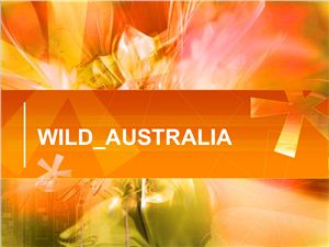 Wild Australia