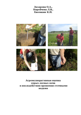 Захарова О.А., Кирейчева Л.В., Евсенкин К.Н. Агромелиоративная оценка серых лесных почв в последействии орошения сточными водами