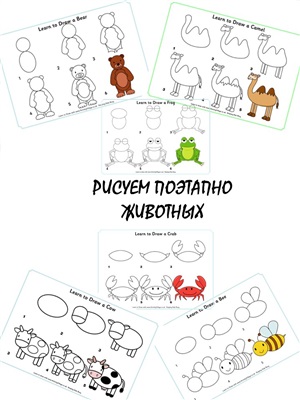 Рисуем поэтапно животных