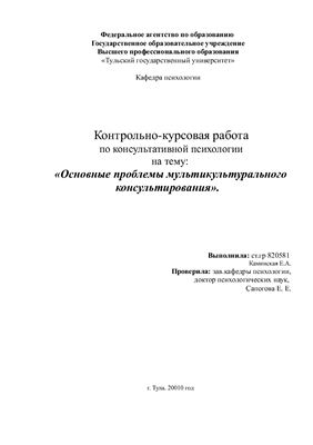 Курсовая работа - основные проблемы мультикультурального консультирования