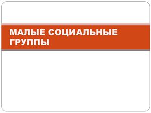 Малые социальные группы