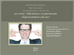 Шумовое загрязнение окружающей среды