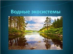Водные экосистемы
