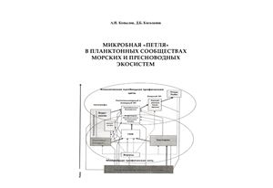 Копылов А.И., Косолапов Д.Б. Микробная петля в планктонных сообществах морских и пресноводных экосистем