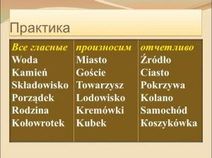 Серегина С. Фонетика польского языка. Мастер-Класс